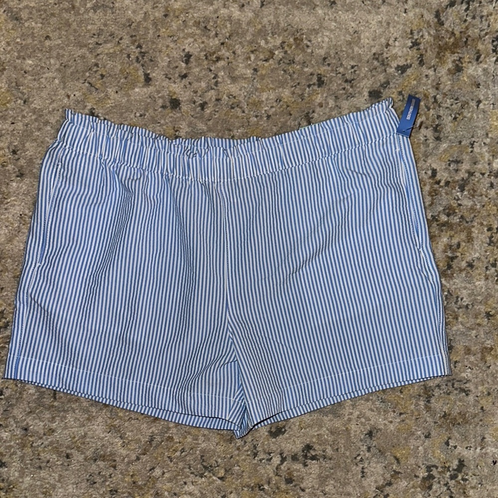 Magellan Blue Striped Shorts